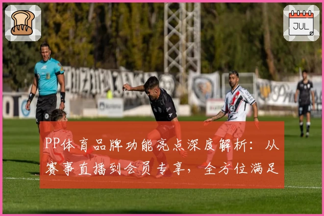 PP体育品牌功能亮点深度解析：从赛事直播到会员专享，全方位满足体育迷需求